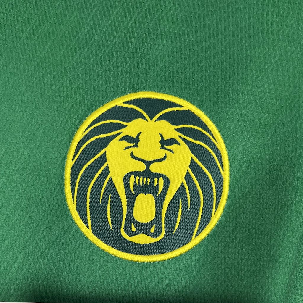 Maillot Cameroun domicile 2025 Maison To Sport