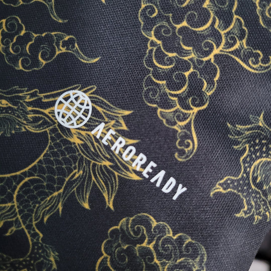 Maillot Japon concept 2023 2024 Dragon Maison To Sport