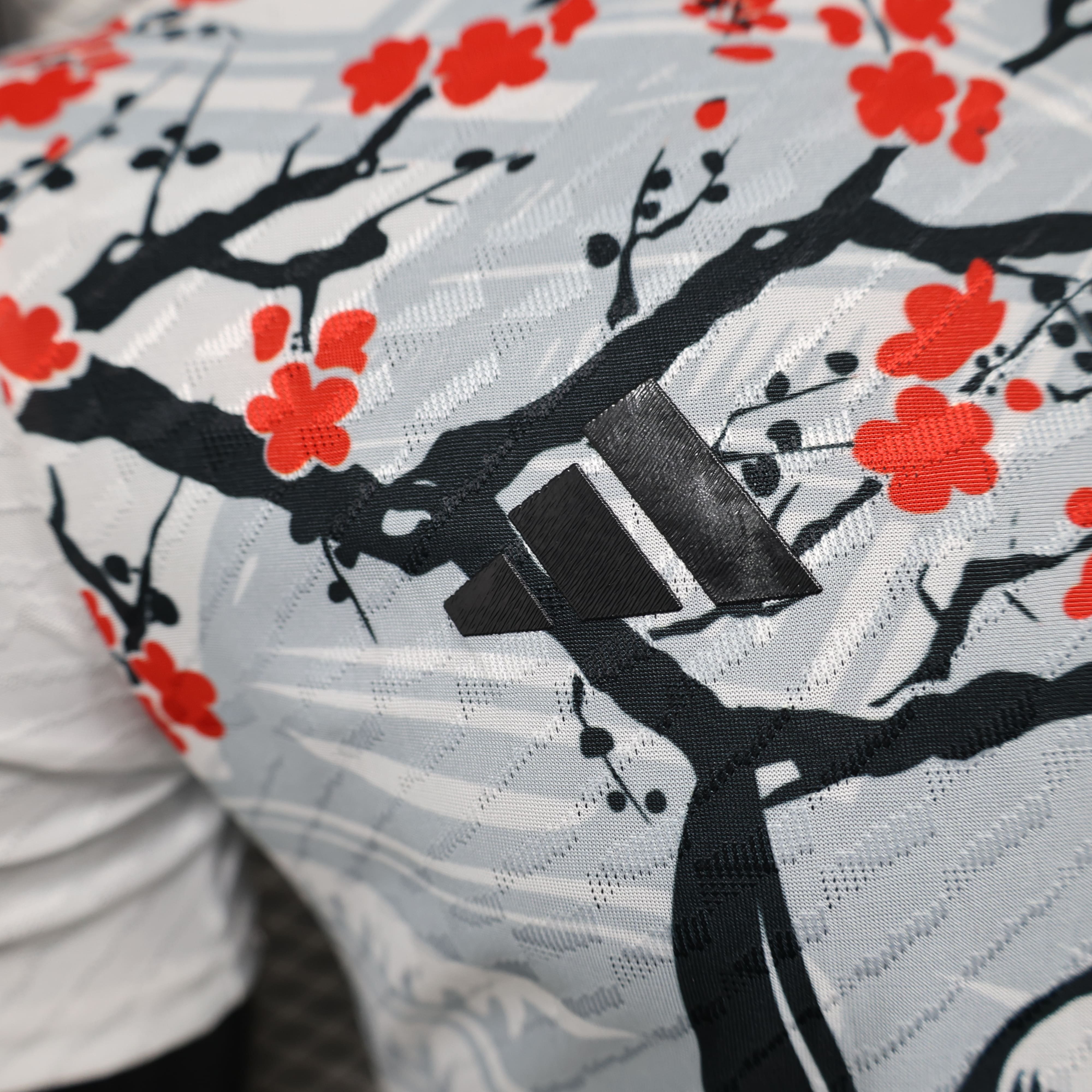 Maillot Japon Concept 2025-2026 Maison To Sport