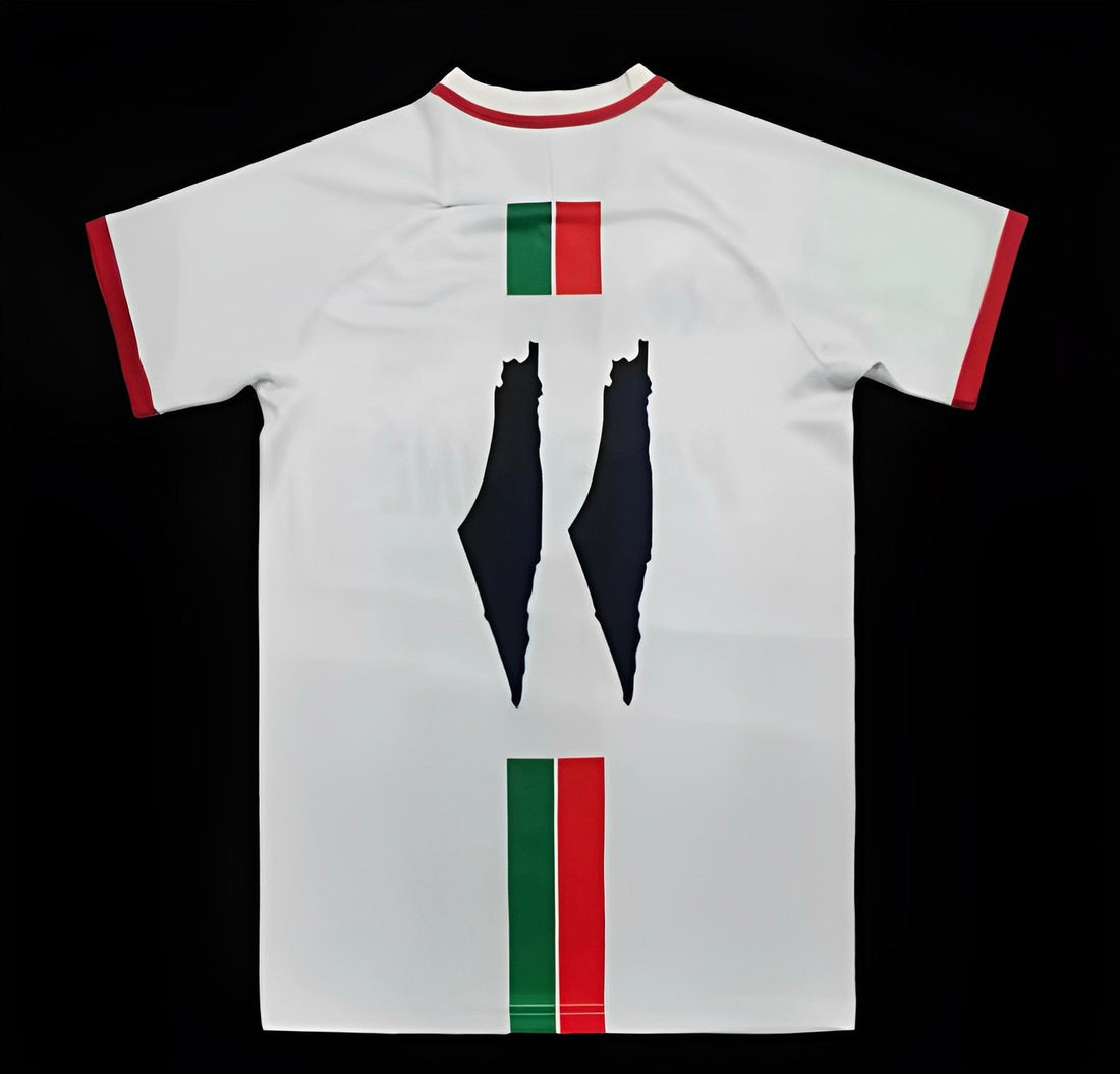 Maillots Palestine ÉDITION SPÉCIALE BLANC 2023 2024 Maison To Sport