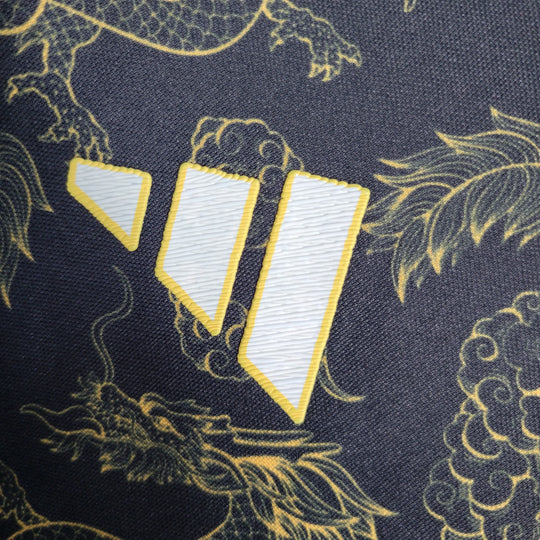 Maillot Japon concept 2023 2024 Dragon Maison To Sport