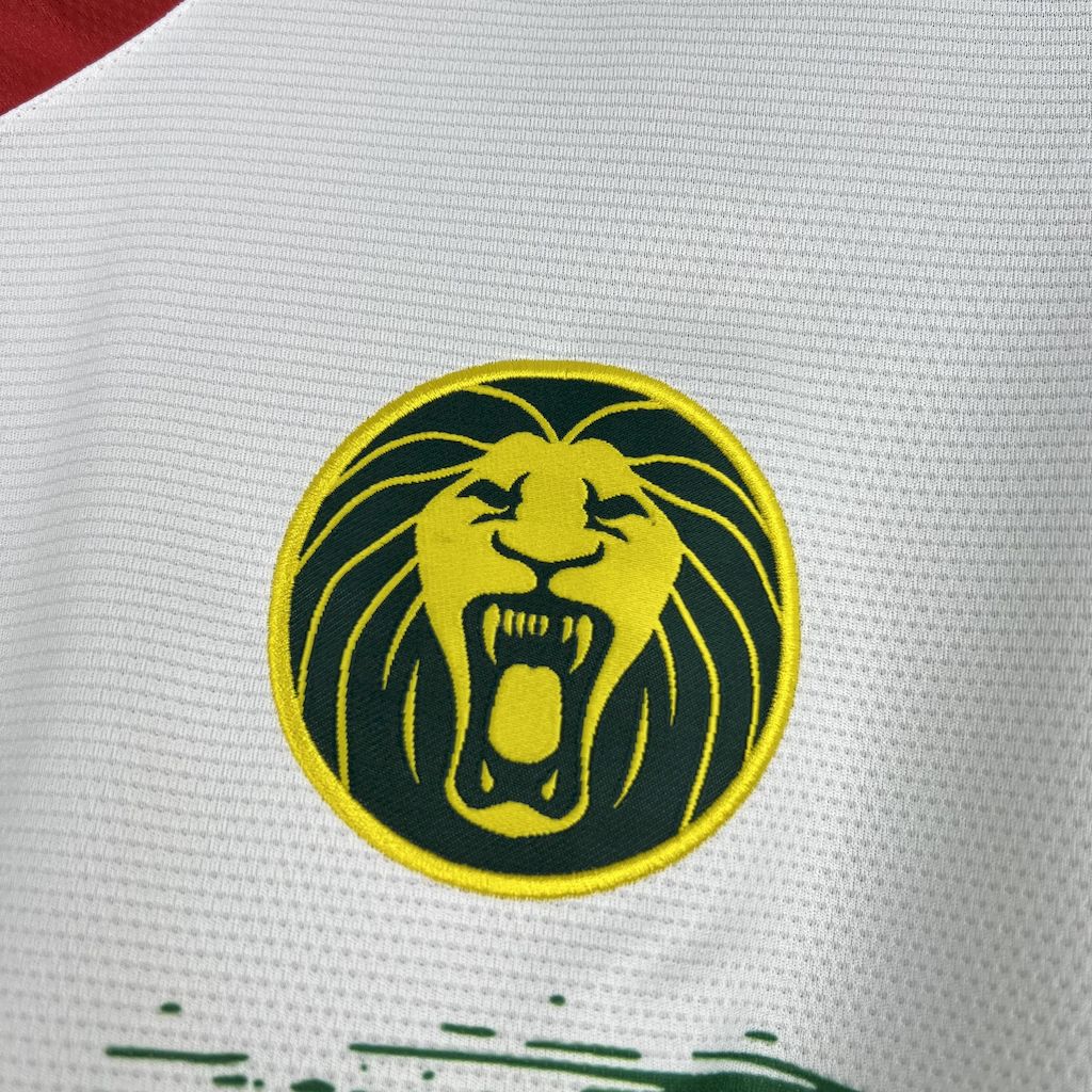 Maillot Cameroun 202 Maison To Sport