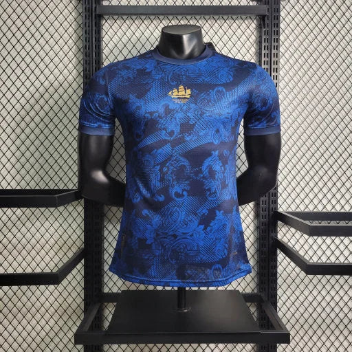 Maillot Manchester City concept 2024 2025 Maison To Sport