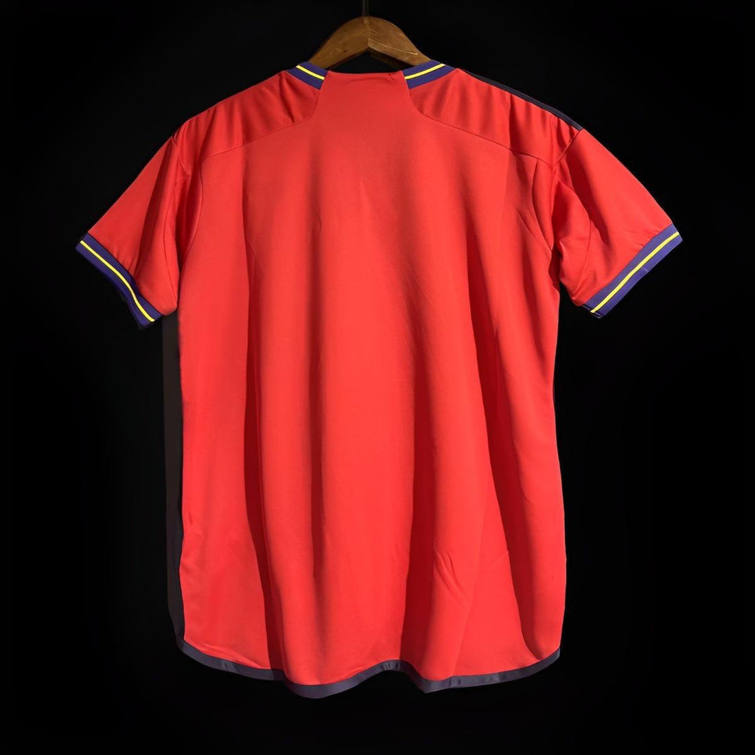 MAILLOT ESPAGNE DOMICILE 2024/25 Maison To Sport