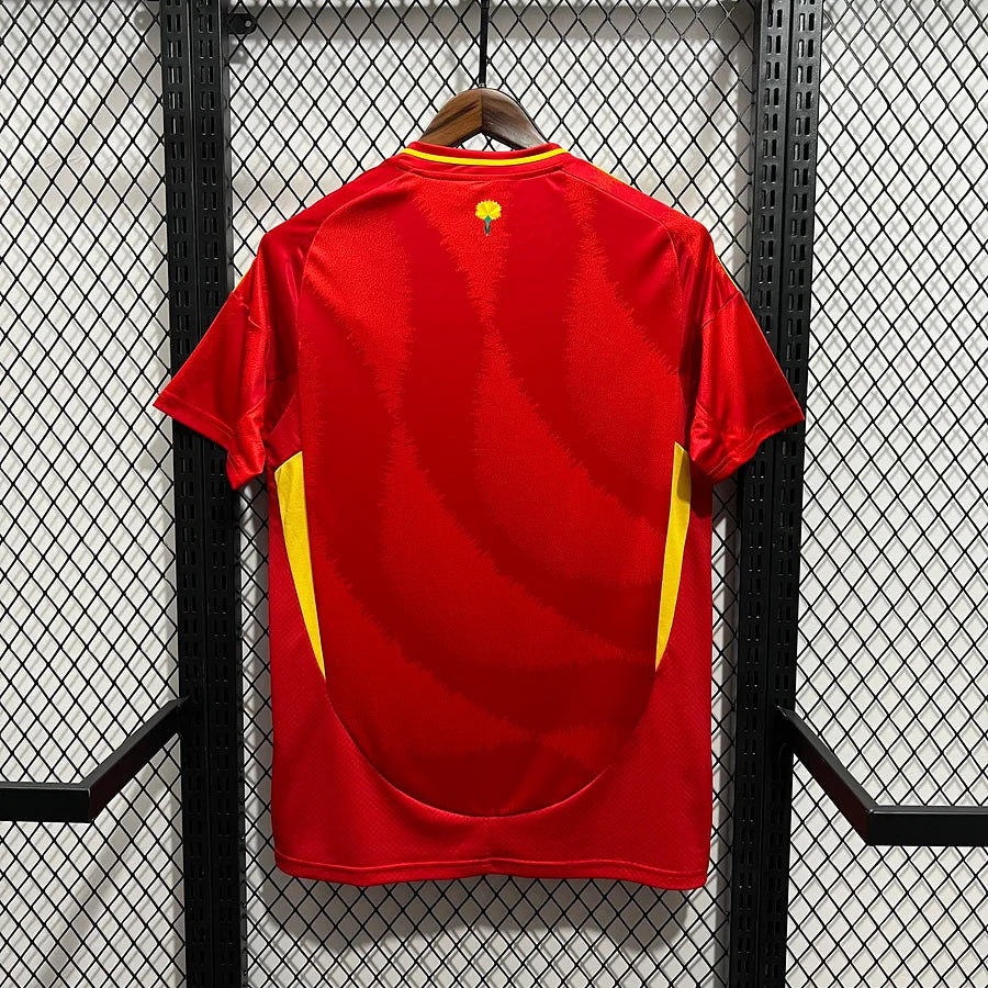 MAILLOT ESPAGNE DOMICILE 2024/25 Maison To Sport