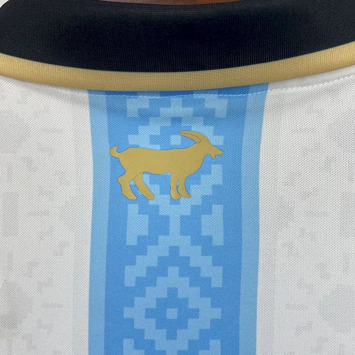 Maillot Argentine Foot 2025 2026 concept Maison To Sport